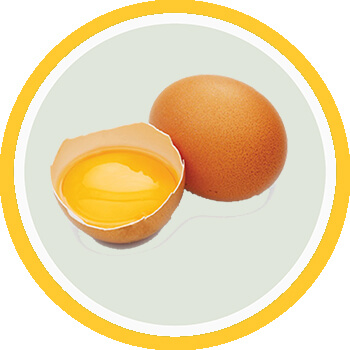 Fast Hair Growth Foods Eggs