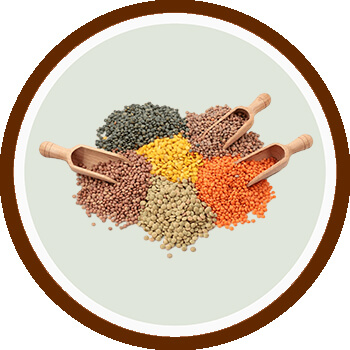 Fast Hair Growth Foods Lentils