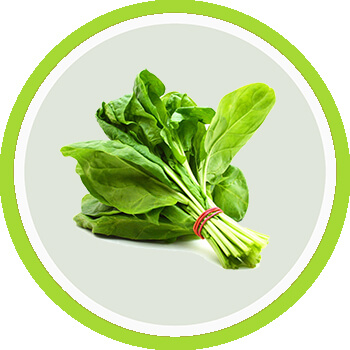 Fast Hair Growth Foods Spinach