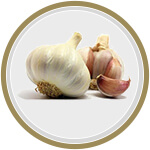 Home Remedies for Acidity Treatment Garlic