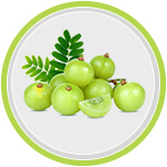 Home Remedies for Acidity Treatment Gooseberries