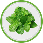 Home Remedies for Acidity Treatment Mint Leaves