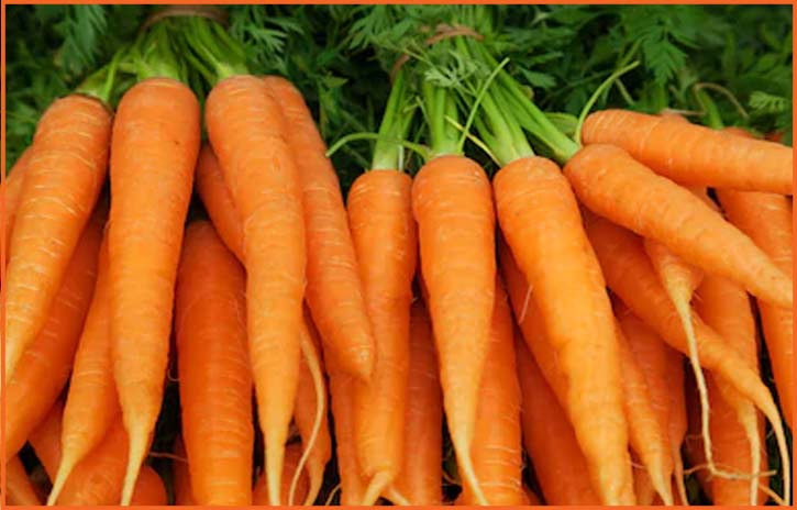 skincare from carrots