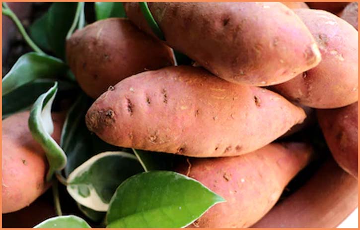 skincare from sweet potato